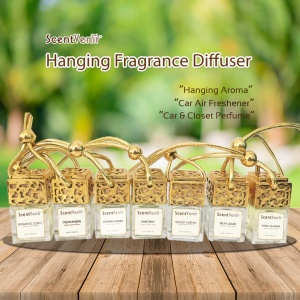 hanging fragrance diffuser